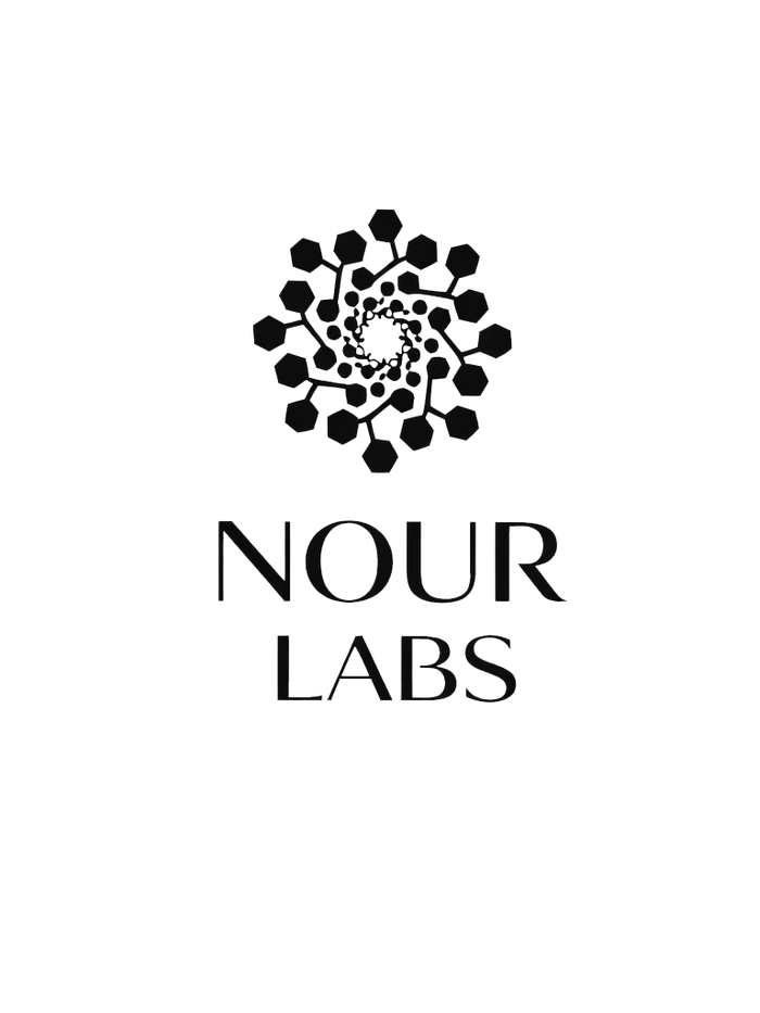 Nour Labs Logo